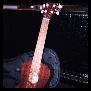 Ukulele with the cover